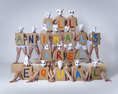 all animals - a Photographic Art Artowrk by Ömer Sedat Yenidoğan